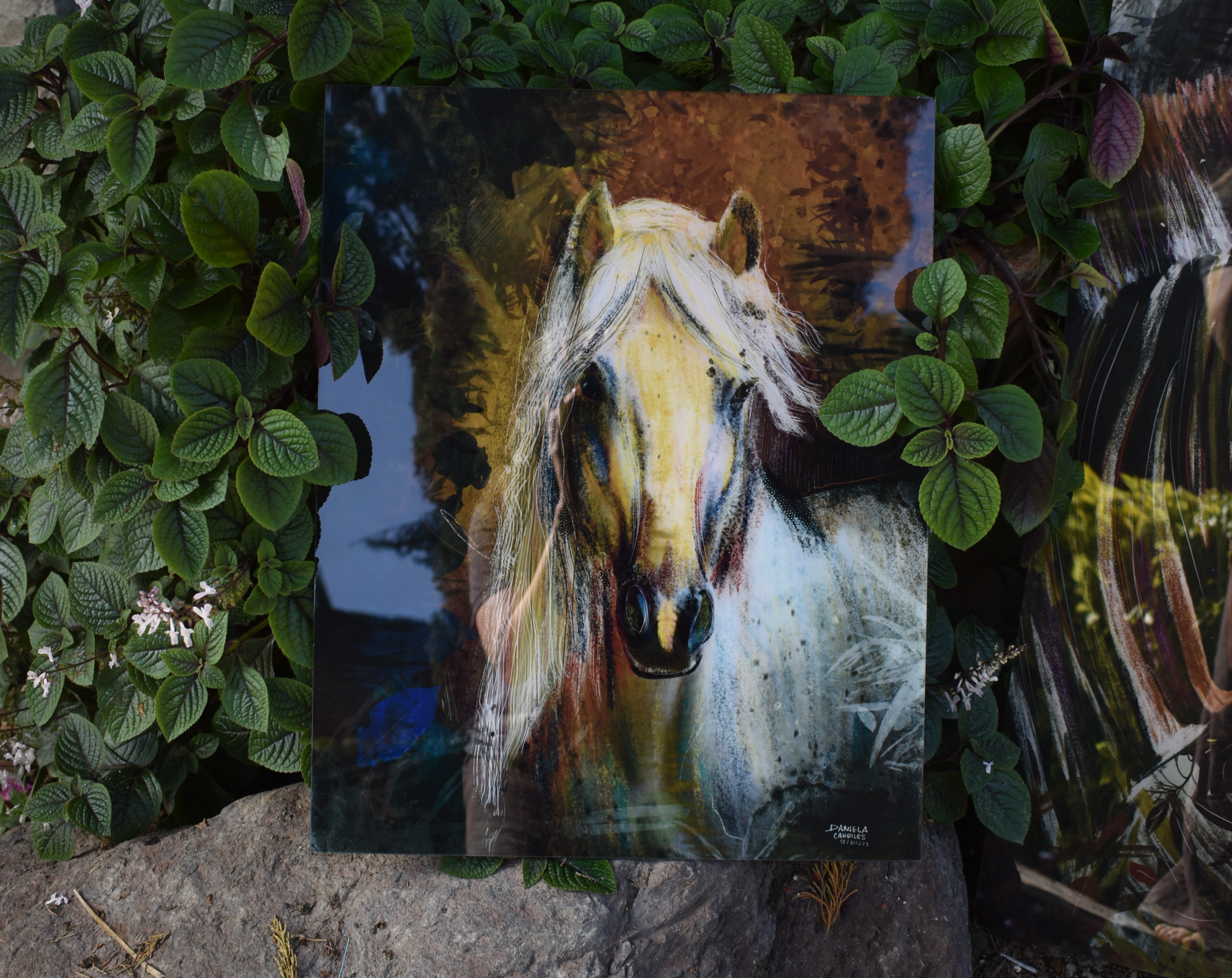 Acrylic Print - Guardián de luz