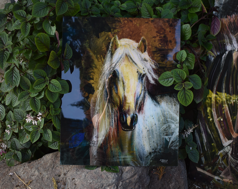 Acrylic Print - Guardián de luz